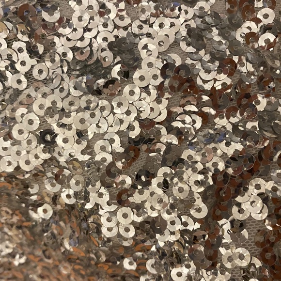 Badgley Mischka Silver Gown Size 4 - Picture 10 of 13